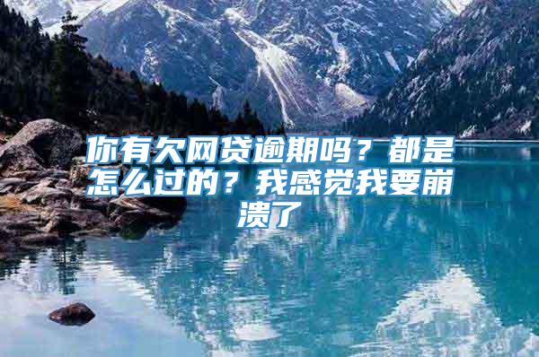 你有欠网贷逾期吗？都是怎么过的？我感觉我要崩溃了