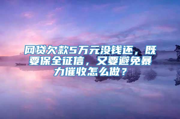 网贷欠款5万元没钱还，既要保全征信，又要避免暴力催收怎么做？