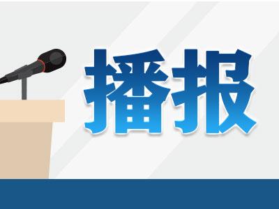 网贷遭遇“暴力催款”借款人怒告两公司