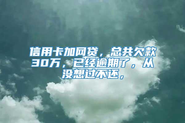 信用卡加网贷，总共欠款30万，已经逾期了，从没想过不还，