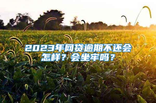 2023年网贷逾期不还会怎样？会坐牢吗？