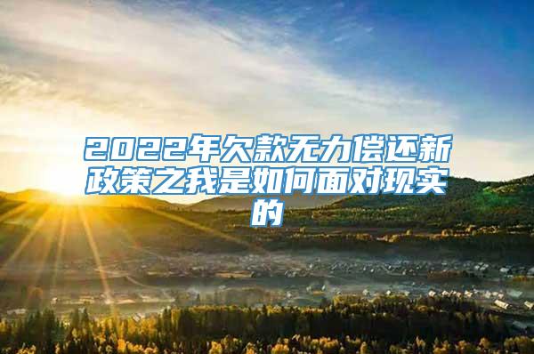 2022年欠款无力偿还新政策之我是如何面对现实的