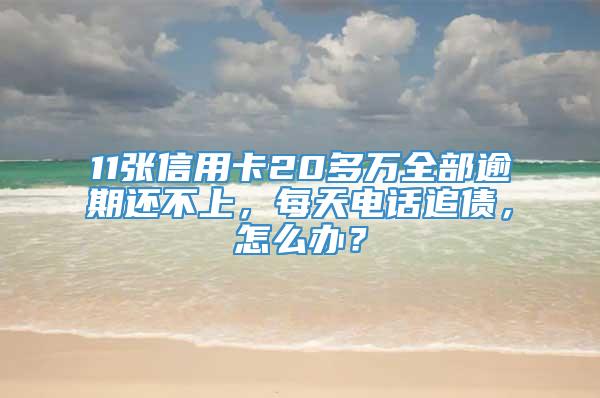 11张信用卡20多万全部逾期还不上，每天电话追债，怎么办？