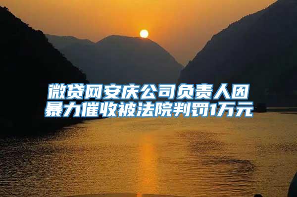 微贷网安庆公司负责人因暴力催收被法院判罚1万元