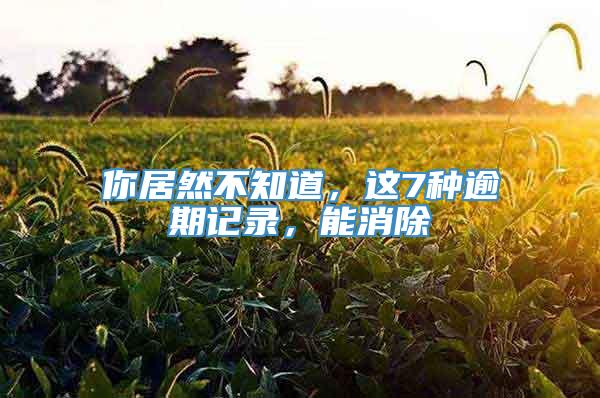 你居然不知道，这7种逾期记录，能消除