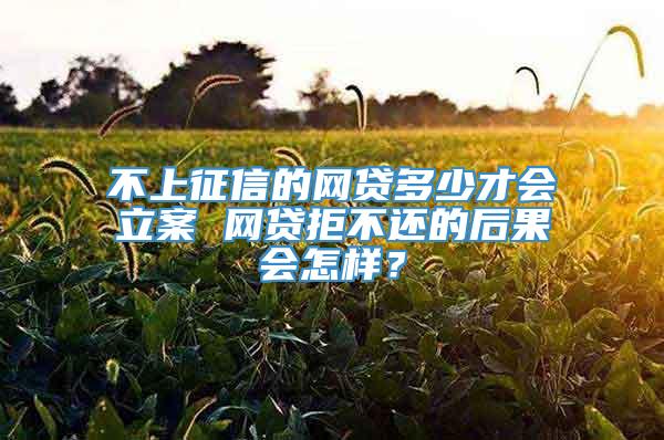 不上征信的网贷多少才会立案 网贷拒不还的后果会怎样？