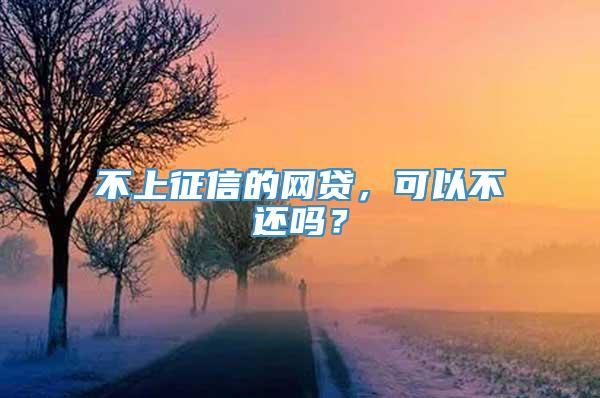 不上征信的网贷，可以不还吗？