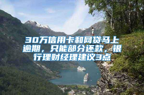 30万信用卡和网贷马上逾期，只能部分还款，银行理财经理建议3点