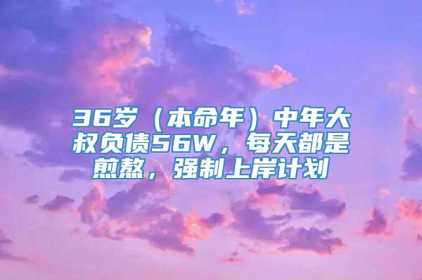 36岁（本命年）中年大叔负债56W，每天都是煎熬，强制上岸计划