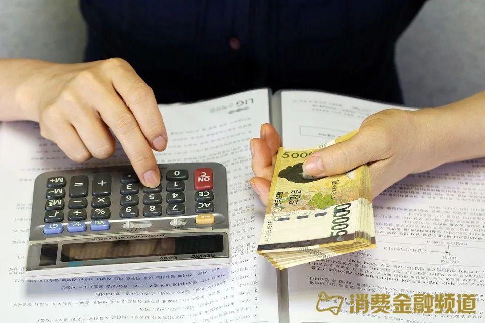 多地清理代理投诉乱象，打掉反催收大本营