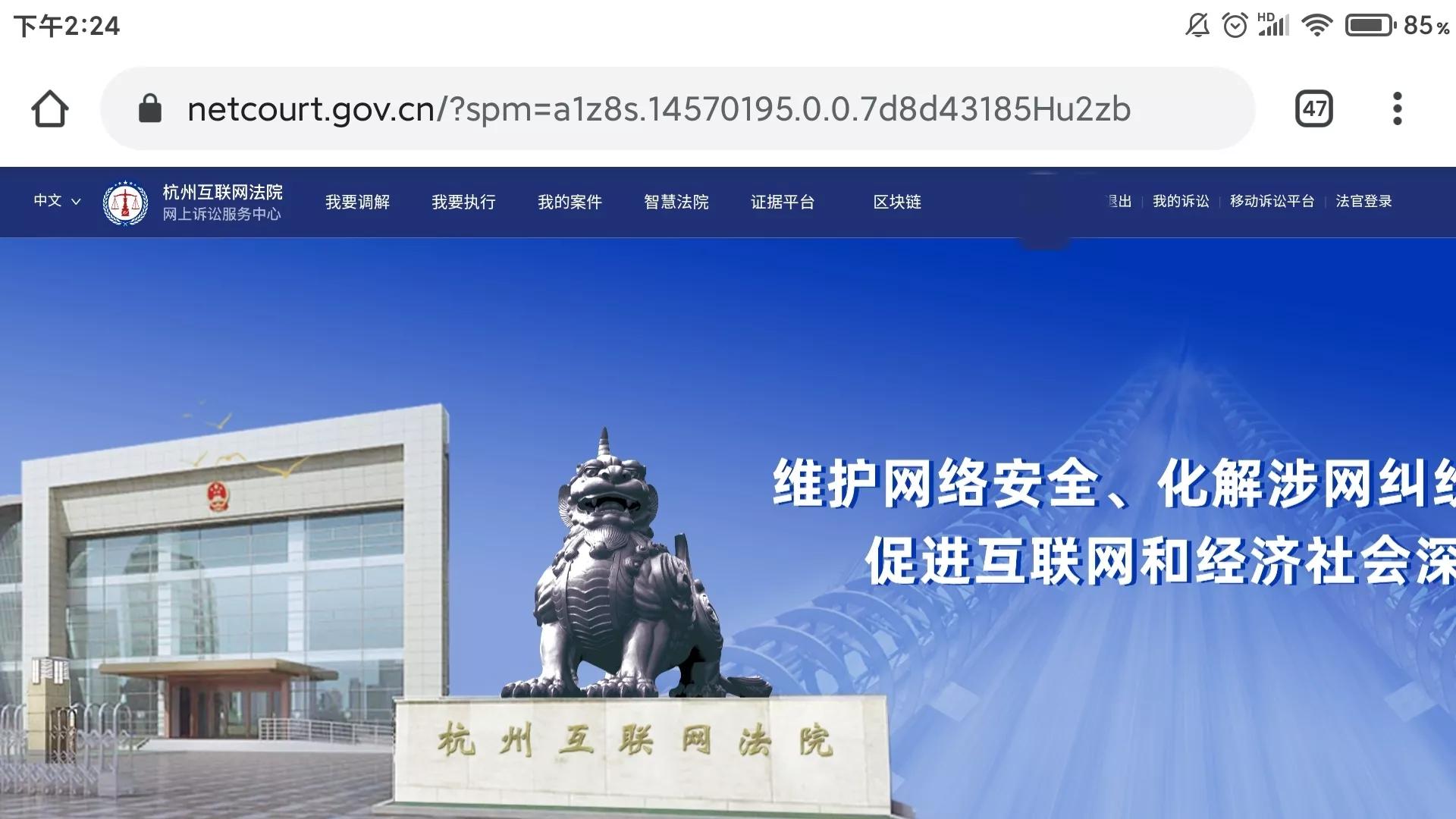 网贷逾期，被起诉到杭州互联网法院的第13天