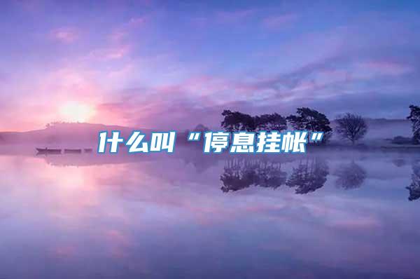 什么叫“停息挂帐”