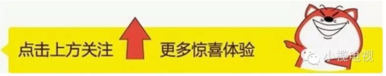 信用卡滞纳金年息高达60％，被判“违宪”