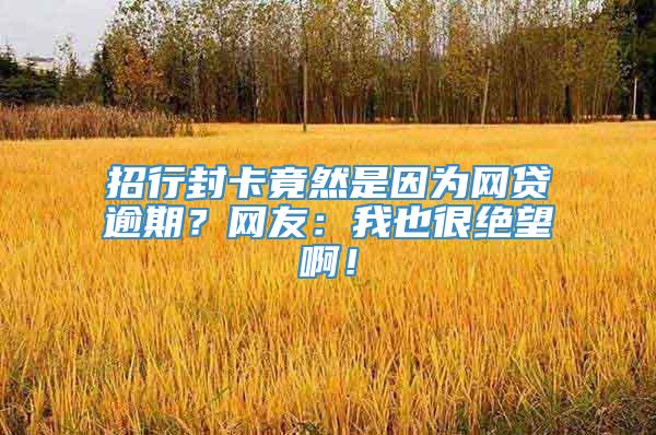 招行封卡竟然是因为网贷逾期？网友：我也很绝望啊！