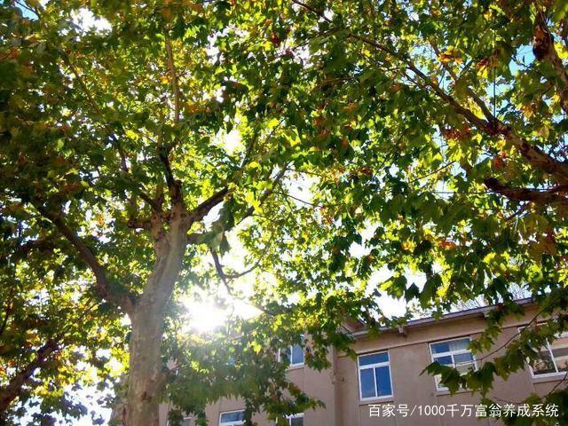 信用卡逾期，警察会不会找上门？