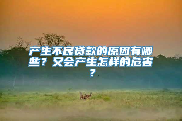 产生不良贷款的原因有哪些？又会产生怎样的危害？