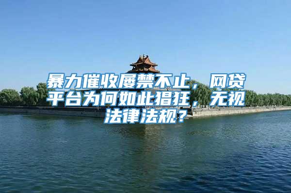 暴力催收屡禁不止，网贷平台为何如此猖狂，无视法律法规？