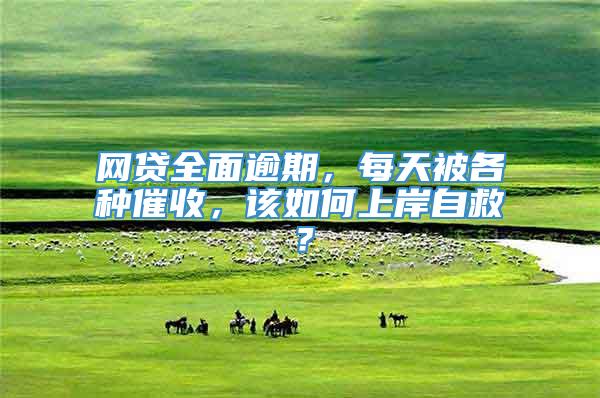 网贷全面逾期，每天被各种催收，该如何上岸自救？