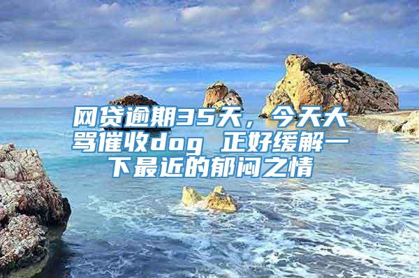 网贷逾期35天，今天大骂催收dog 正好缓解一下最近的郁闷之情