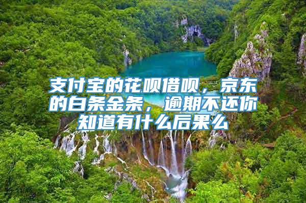 支付宝的花呗借呗，京东的白条金条，逾期不还你知道有什么后果么