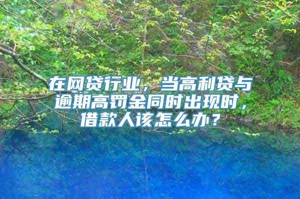 在网贷行业，当高利贷与逾期高罚金同时出现时，借款人该怎么办？