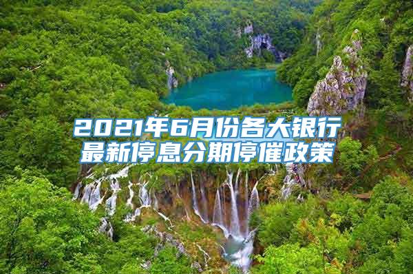 2021年6月份各大银行最新停息分期停催政策