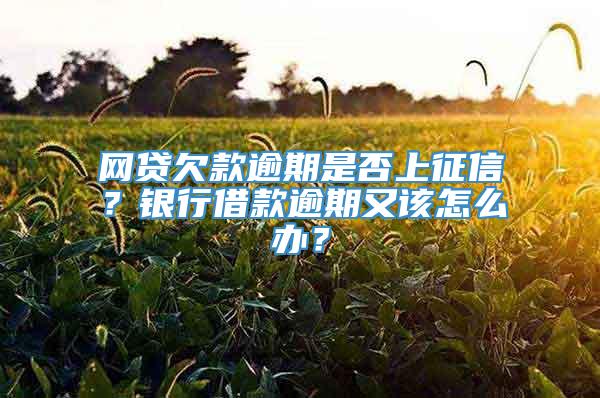 网贷欠款逾期是否上征信？银行借款逾期又该怎么办？