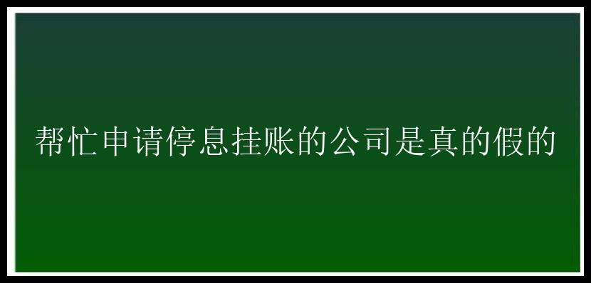 帮忙申请停息挂账的公司是真的假的