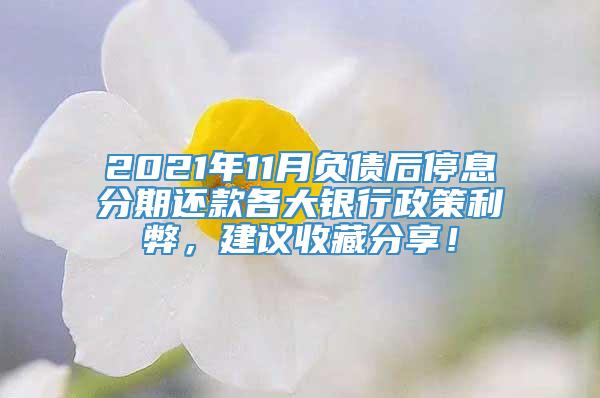 2021年11月负债后停息分期还款各大银行政策利弊，建议收藏分享！