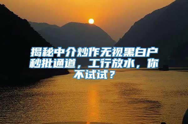 揭秘中介炒作无视黑白户秒批通道，工行放水，你不试试？