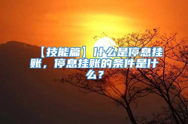 【技能篇】什么是停息挂账，停息挂账的条件是什么？