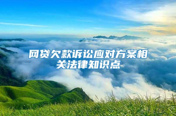 网贷欠款诉讼应对方案相关法律知识点