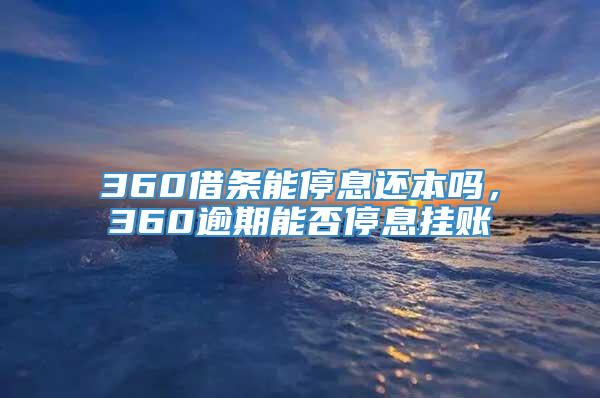 360借条能停息还本吗，360逾期能否停息挂账