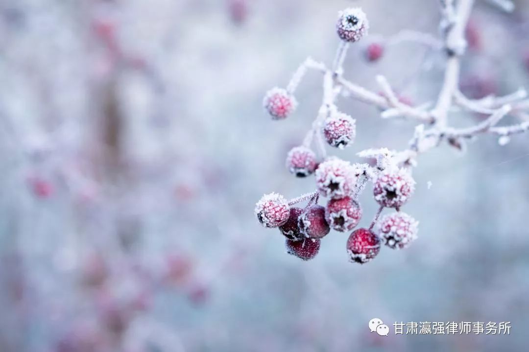 夫妻一方借款，能否要求其配偶一起偿还丨婚姻家事与财富传承