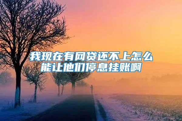 我现在有网贷还不上怎么能让他们停息挂账啊