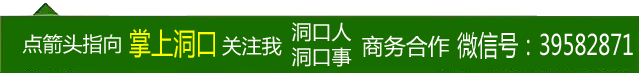 洞口谈 | 亲弟弟欠了30万网贷,我该怎么办?