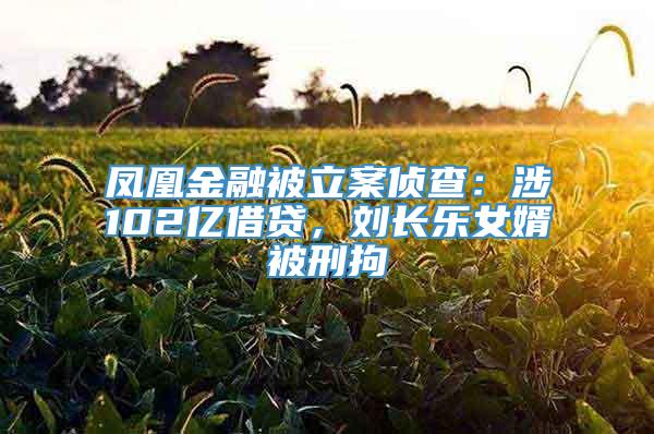 凤凰金融被立案侦查：涉102亿借贷，刘长乐女婿被刑拘