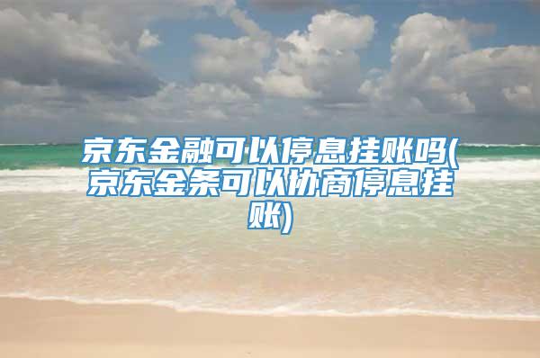 京东金融可以停息挂账吗(京东金条可以协商停息挂账)