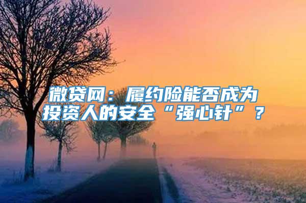 微贷网：履约险能否成为投资人的安全“强心针”？