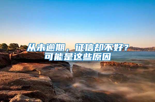 从未逾期，征信却不好？可能是这些原因