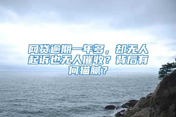 网贷逾期一年多，却无人起诉也无人催收？背后有何猫腻？