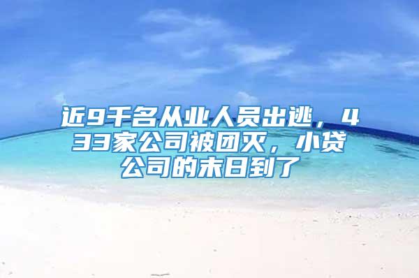 近9千名从业人员出逃，433家公司被团灭，小贷公司的末日到了