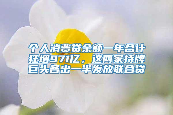 个人消费贷余额一年合计狂增971亿，这两家持牌巨头各出一半发放联合贷