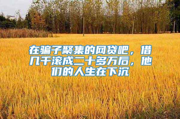 在骗子聚集的网贷吧，借几千滚成二十多万后，他们的人生在下沉