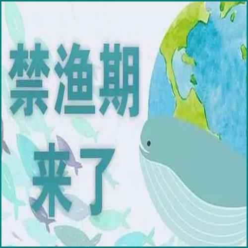 浦发信用卡逾期400天