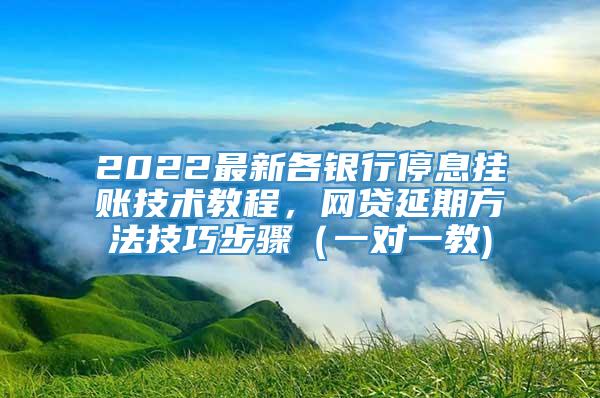 2022最新各银行停息挂账技术教程，网贷延期方法技巧步骤（一对一教)