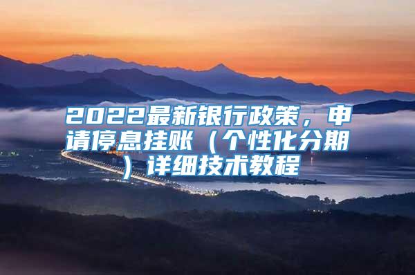 2022最新银行政策，申请停息挂账（个性化分期）详细技术教程