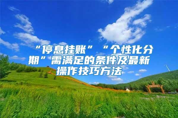 “停息挂账”“个性化分期”需满足的条件及最新操作技巧方法