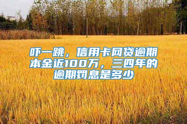 吓一跳，信用卡网贷逾期本金近100万，三四年的逾期罚息是多少