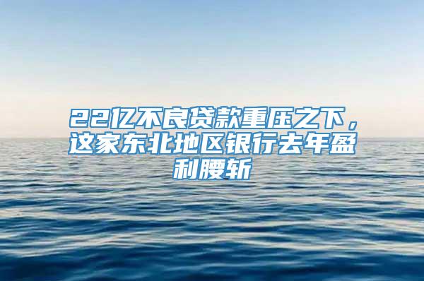 22亿不良贷款重压之下，这家东北地区银行去年盈利腰斩